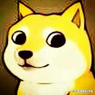 揭秘！6名22岁青年组建神秘DOGE团队，弃高薪救美国！