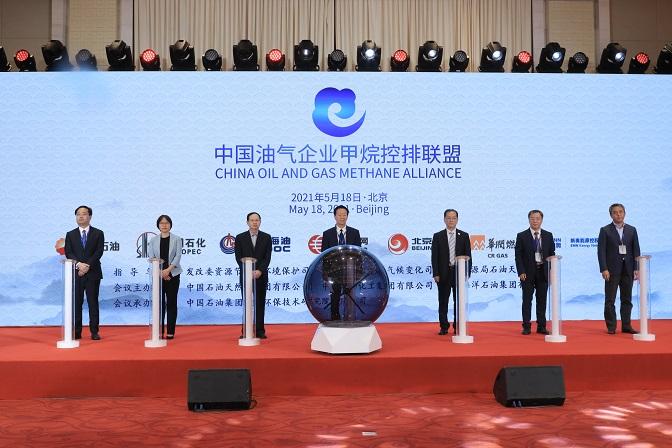 2025新奥天天免费资料,精选资料解析大全