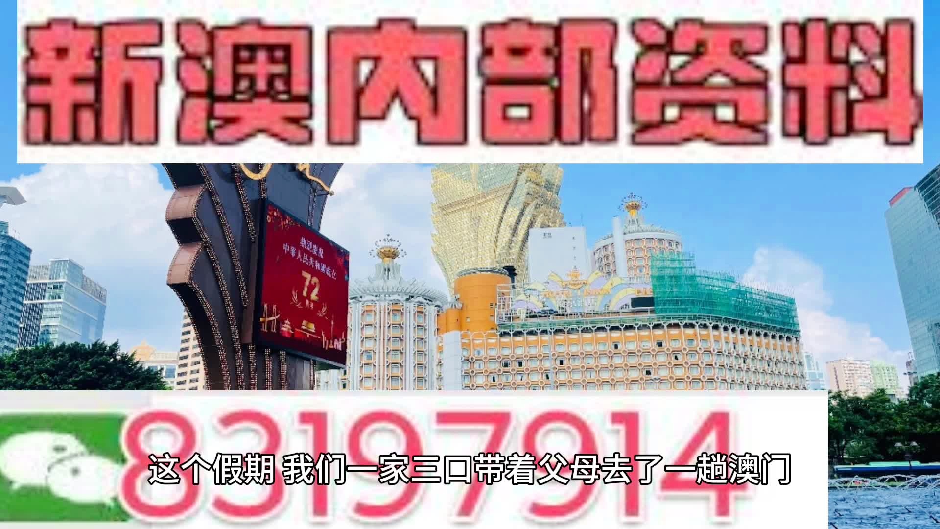 新澳门内部精准资料,精选资料解析大全