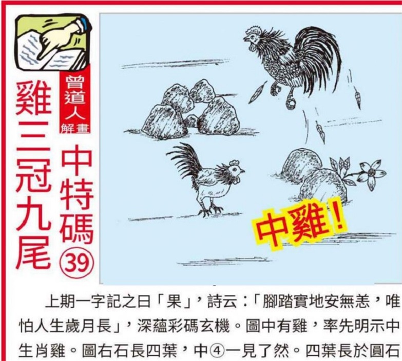 新澳资料大全正版2025金算盘,精选资料解析大全
