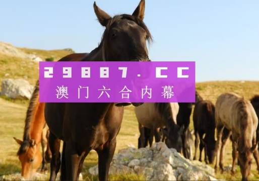 王中王中特网资料大全,王中王中特网资料大全，深度解析与综合概述