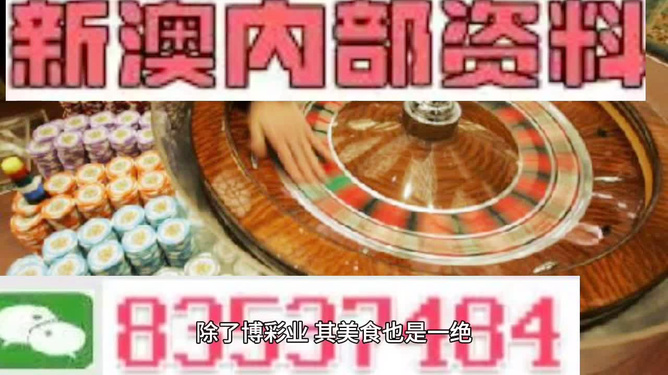 新澳门免费资料大全正版资料下载,精选资料解析大全
