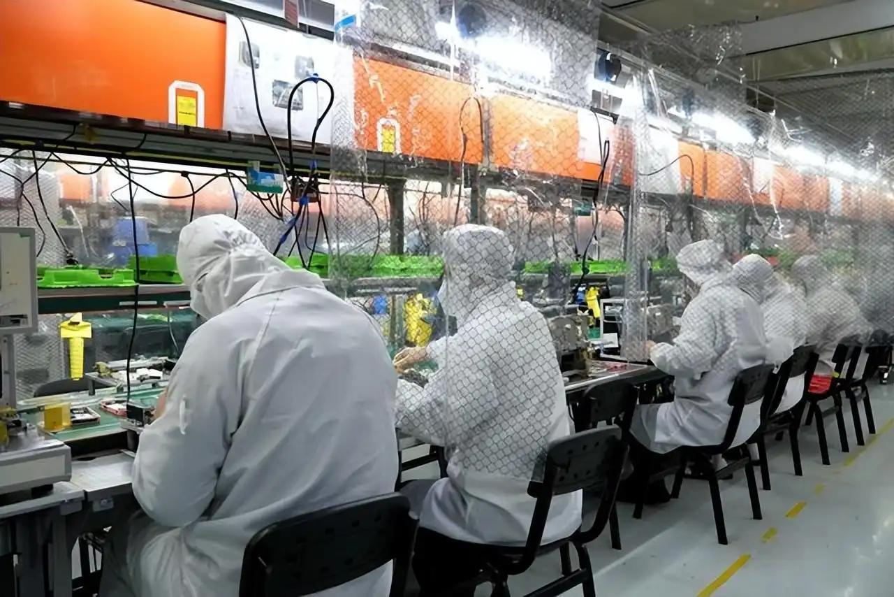 2025年资料大全免费,迈向2025年，资料大全免费的时代