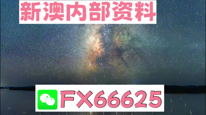 新澳天天彩免费资料大全的特点,新澳天天彩免费资料大全的特点深度解析