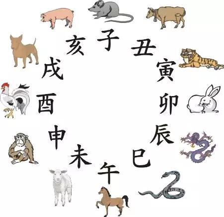 2025今晚9点30开什么生肖明,关于生肖与时间的探讨，今晚九点三十生肖揭晓的奥秘