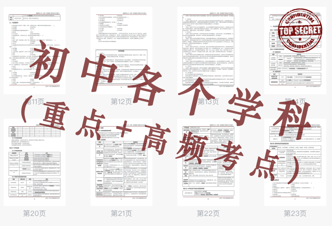 管家婆一肖一码100澳门,探索管家婆一肖一码，澳门赌场的神秘面纱