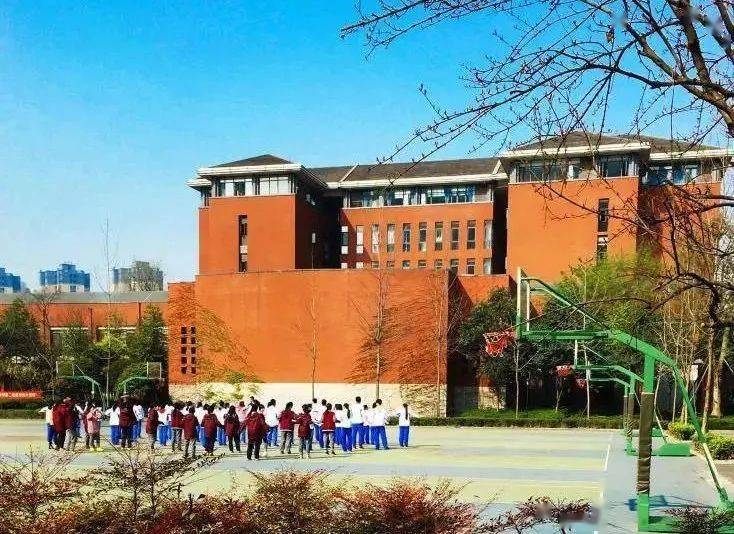 管家婆四不像必中一当,管家婆四不像必中一当——揭秘彩票背后的秘密