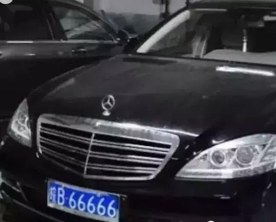 7777788888新版跑狗图论坛,探索新版跑狗图论坛，77777与88888的魅力交织