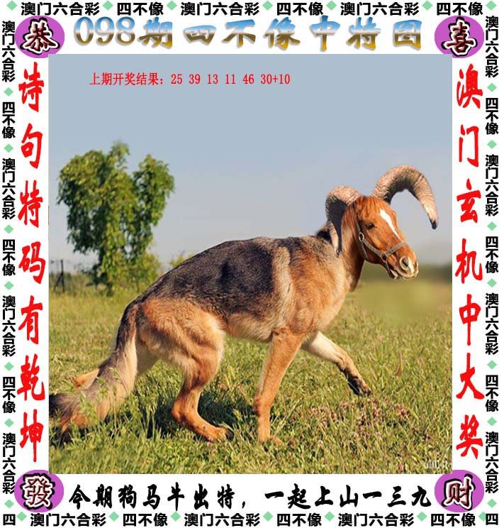 四不像正版+正版四不像2023,四不像正版与正版四不像，探索与反思的交汇点（2023年）