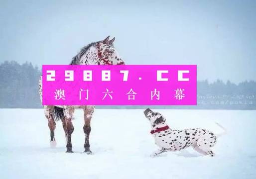 澳门一肖一码免费公开的亮点,澳门一肖一码免费公开的独特魅力与亮点