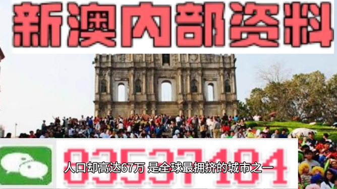2025澳门资料免费大全,澳门资料大全，探索未来的蓝图与机遇（2025澳门资料免费大全）