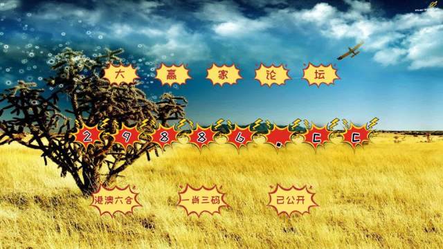 4949精准澳门彩最准确的,探索澳门彩的秘密，揭秘最准确的4949精准预测方法