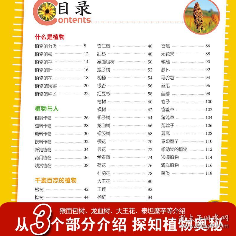 正版资料全年资料大全4949,正版资料全年资料大全4949，一站式获取全年正版资源的宝典
