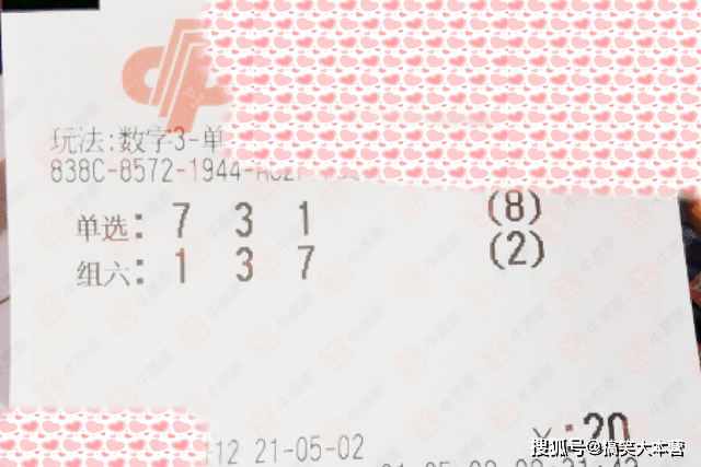 024澳门六今晚开奖结果,澳门彩票开奖结果，探索今晚024期开奖的神秘面纱