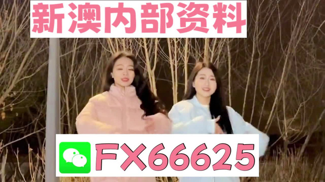 管家婆最准一码一肖,管家婆最准一码一肖，揭秘精准预测的秘密