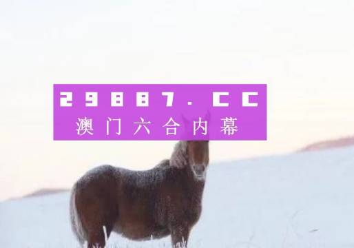 澳门4949资料最经典的一句,澳门4949资料最经典的一句——探索其背后的深意与启示