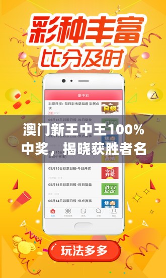 2025年新澳门王中王免费,关于澳门王中王游戏免费体验的探讨（2025年展望）