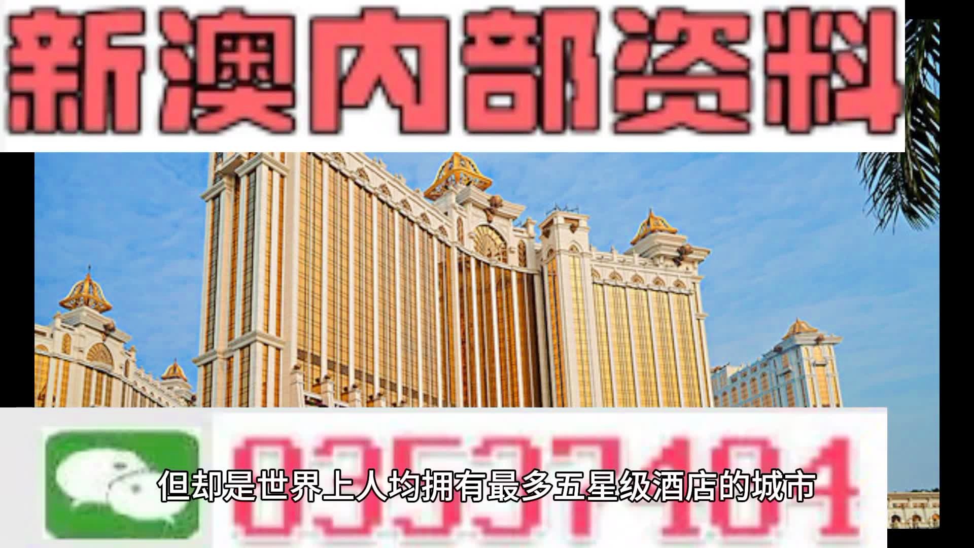 澳门大网站vip资料,澳门大网站VIP资料，探索其背后的故事与重要性
