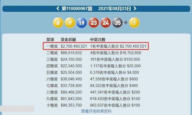 2025年新澳开奖结果记录查询表,揭秘2025年新澳开奖结果记录查询表