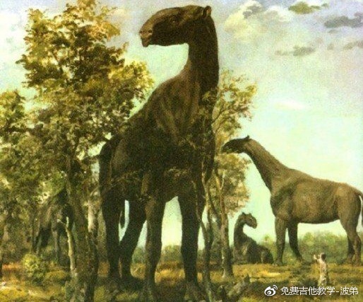 四不像正版 正版四不像图片2025,探索正版四不像，独特的艺术魅力与图片世界